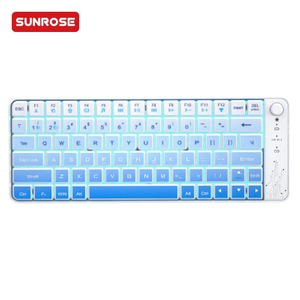 SUNROSE精晟小太阳WK04双模式透明键盘